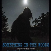 Something in the Woods (2015)