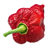 Infinity Pepper