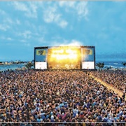 Attended Hangout Music Festival