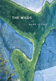 The Wilds (Mark Levine)