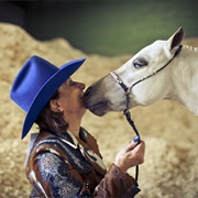 Experience the Calgary Stampede (AB)