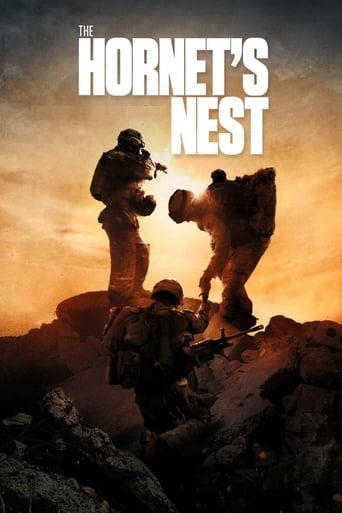 The Hornet&#39;s Nest (2014)