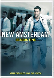 New Amsterdam Season 1 (2019)