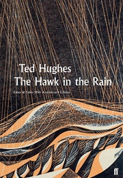 The Hawk in the Rain (Ted Hughes)