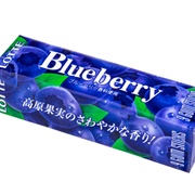 Lotte Blueberry Gum