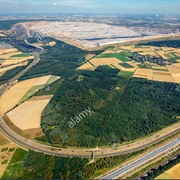 Bürgewald Steinheide