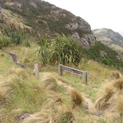 The Bridal Path Littleton