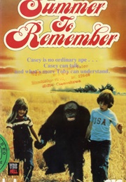 A Summer to Remember (1985)