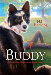 Buddy (M.H. Herlong)
