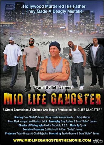 Mid Life Gangster (2013)