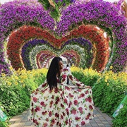 Dubai Miracle Garden
