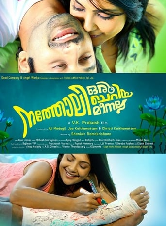Natholi Oru Cheriya Meenalla (2013)