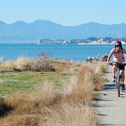 Tasmans Great Taste Trail