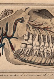 At the Clinic (Sally Rooney)