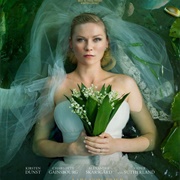 Visually Stunning Cinematography