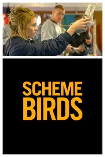 Scheme Birds (2018)