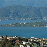 Matiu/ Somes Island