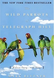The Wild Parrots of Telegraph Hill: A Love Story...With Wings (Mark Bittner)
