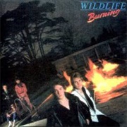 Wildlife - Burning