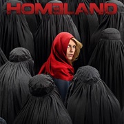 Homeland: Season 4 (2014)