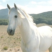 Shadowfax