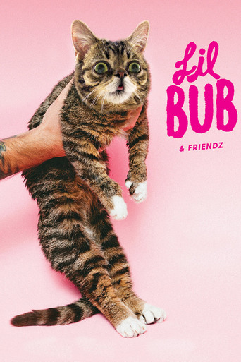 Lil Bub & Friendz (2013)
