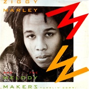 Tumblin' Down - Ziggy Marley & the Melody Makers
