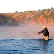 Fly Fish on the Miramachi (NB)
