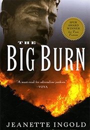 The Big Burn (Jeanette Ingold)