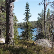 Tandovala Nature Reserve, Sweden