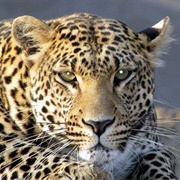 Bloemfontein, South Africa