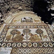 Umm Al- Rasas Mosaics