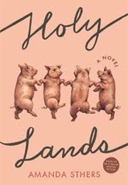 Holy Lands: A Novel (Amanda Sthers)