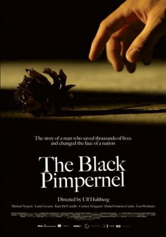 The Black Pimpernel (2007)