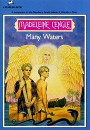 Many Waters (Madeleine L'engle)