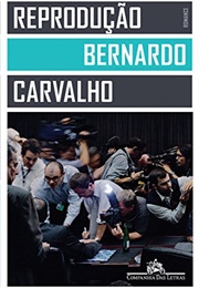 Reprodução (Bernardo Carvalho)