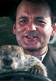 Bill Murray in Groundhog Day (1993)