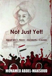 Not Just Yet. Egypt 2011: News - Incidents - Causes (Mohamed Abdel-Maksoud)