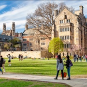 Yale University