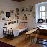 Arnold Schwarzenegger Museum