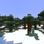 Snowy Taiga