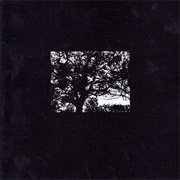 JLIAT - The Nature of Nature