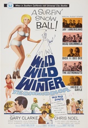 Wild Wild Winter (1966)