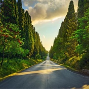 Strada Del Vino E Dell'olio Costa Degli Etruschi