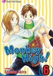Monkey High Vol. 6 (Shouko Akira)