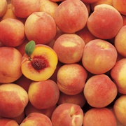Halehaven Peach