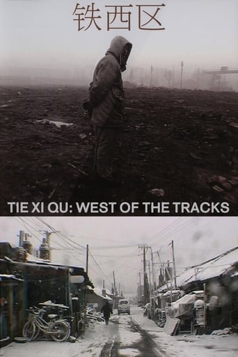 Tie Xi Qu: West of the Tracks (2002)