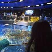 New England Aquarium, Boston, MA