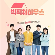 Big Picture House (2020)