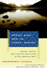 What You See in Clear Water (Geoffrey O'gara)